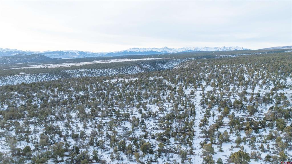 1893 Cotton Road Montrose CO 81403