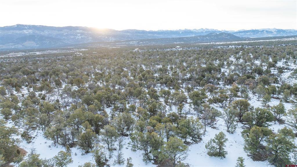 1893 Cotton Road Montrose CO 81403