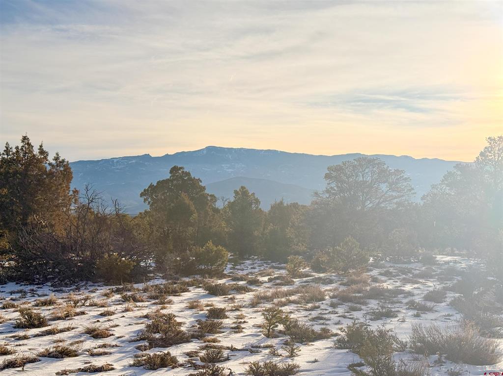 1893 Cotton Road Montrose CO 81403