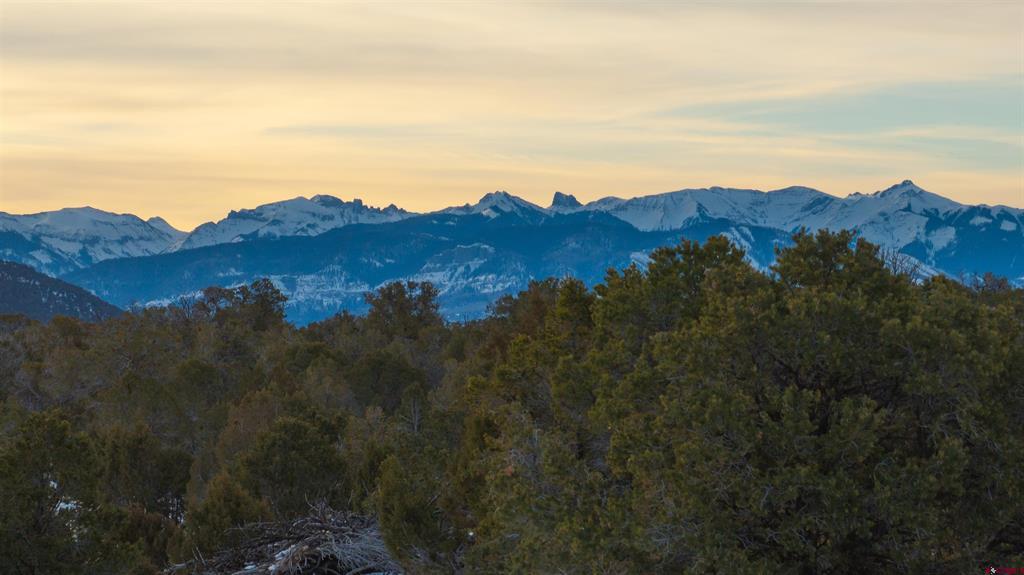 1893 Cotton Road Montrose CO 81403