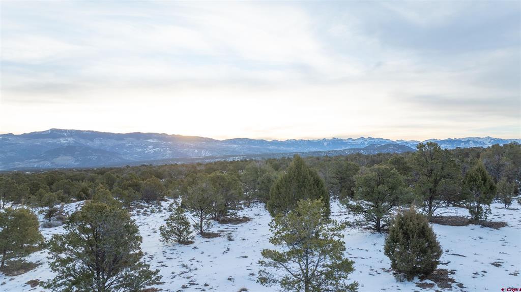 1893 Cotton Road Montrose CO 81403