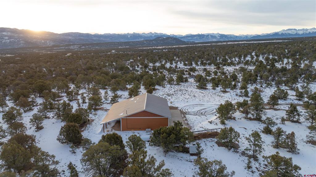 1893 Cotton Road Montrose CO 81403