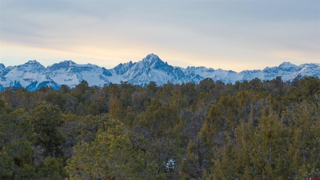 1893 Cotton Road Montrose CO 81403