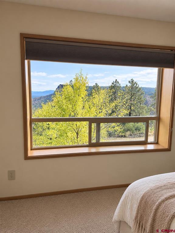 1562 Doc Adams Road Pagosa Springs CO 81147