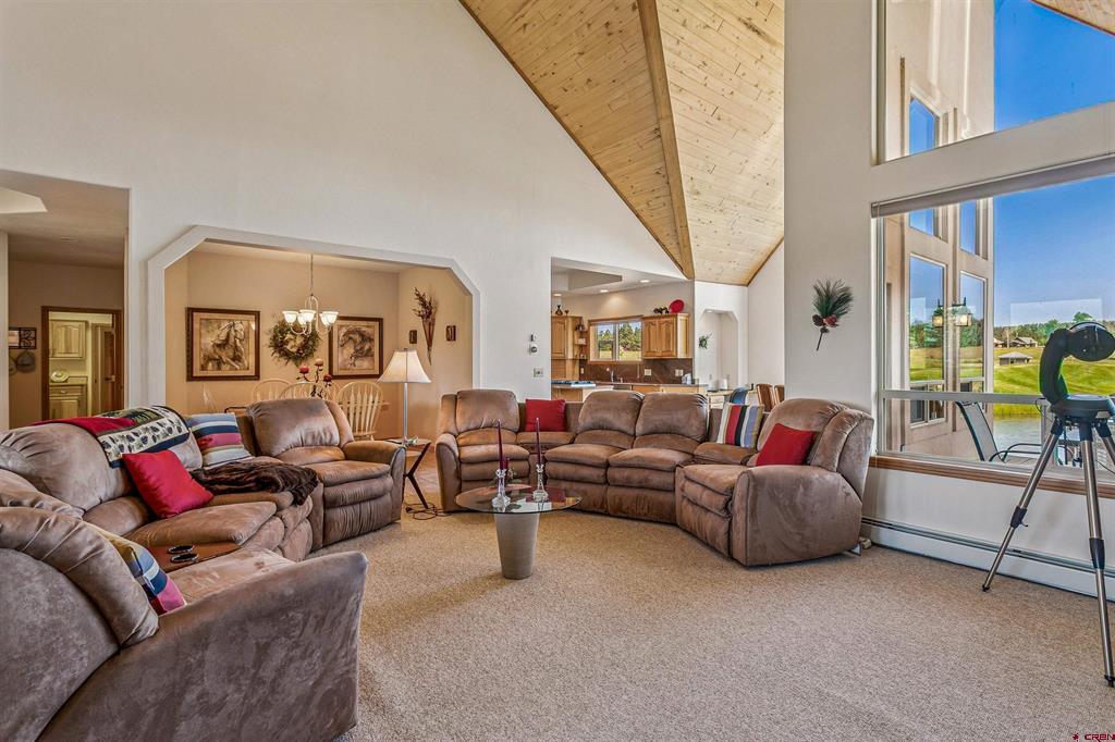 207 Blue Heron Circle Pagosa Springs CO 81147