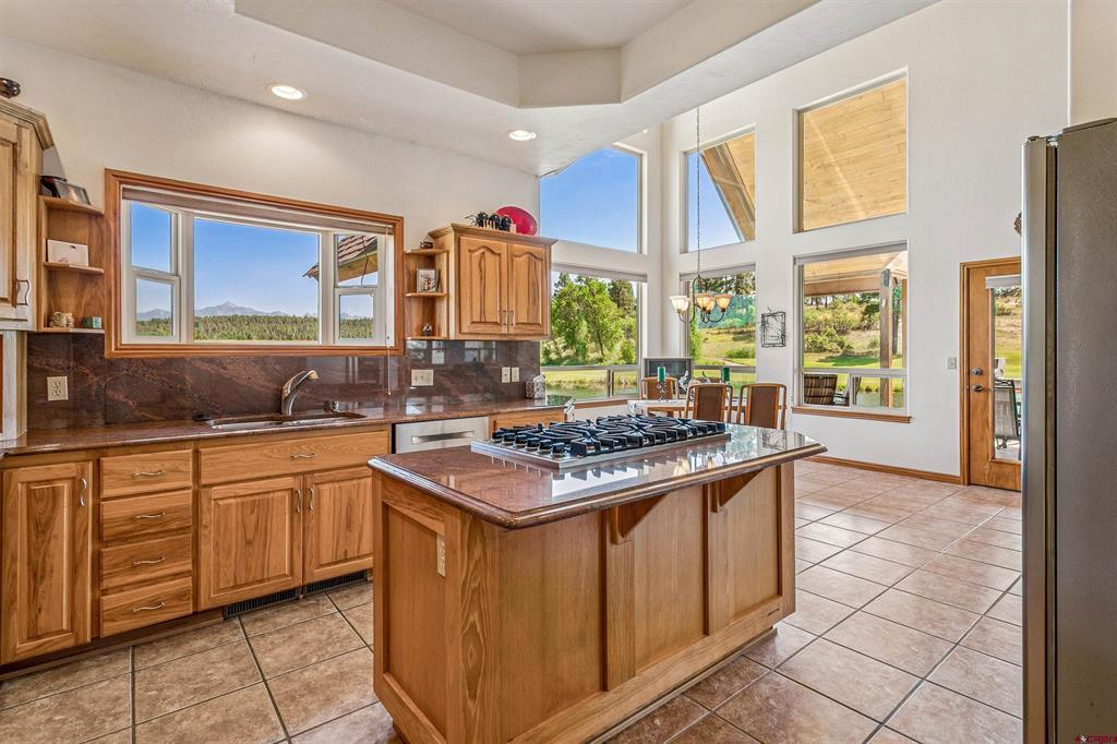 207 Blue Heron Circle Pagosa Springs CO 81147