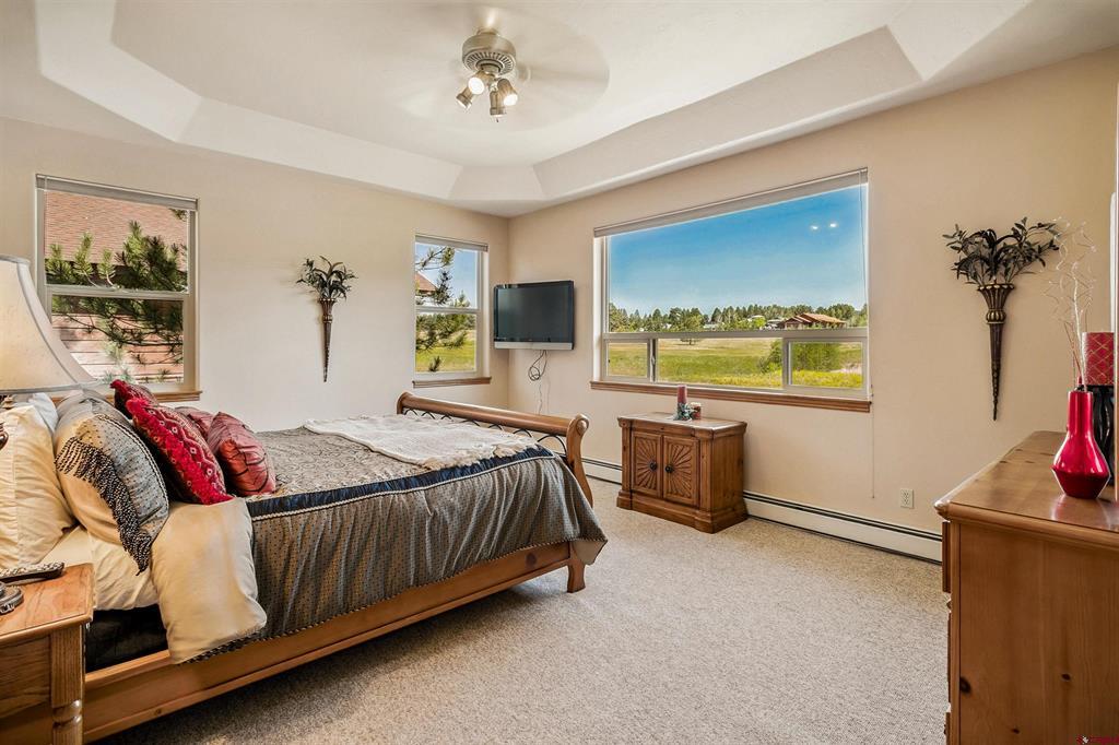 207 Blue Heron Circle Pagosa Springs CO 81147