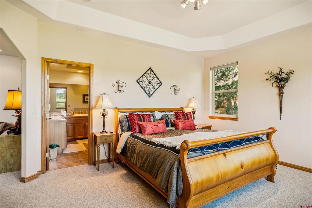 207 Blue Heron Circle Pagosa Springs CO 81147