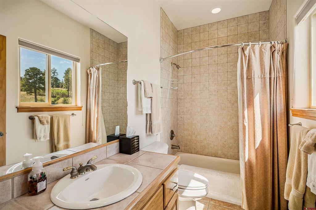 207 Blue Heron Circle Pagosa Springs CO 81147