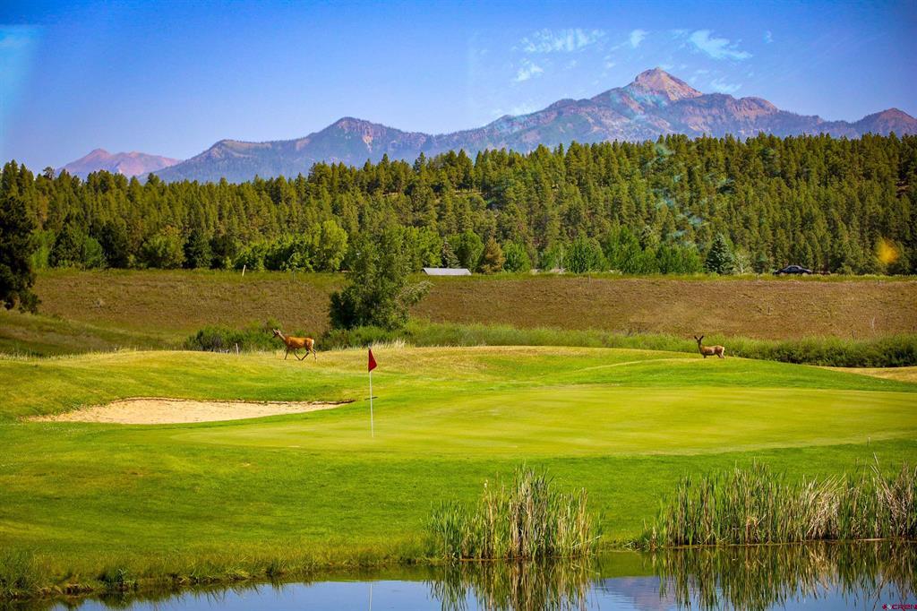 207 Blue Heron Circle Pagosa Springs CO 81147