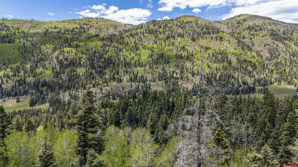 228 And Tbd Park Drive Durango CO 81301