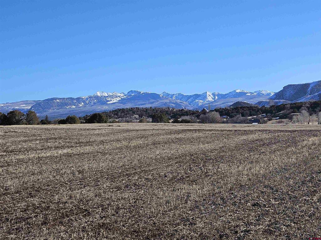 Tbd Road J Mancos CO 81328