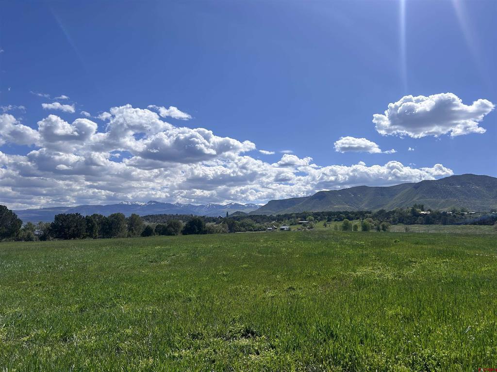 Tbd Road J Mancos CO 81328