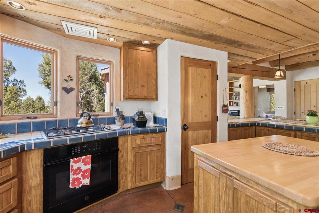 1987 County Road 122 Hesperus CO 81326