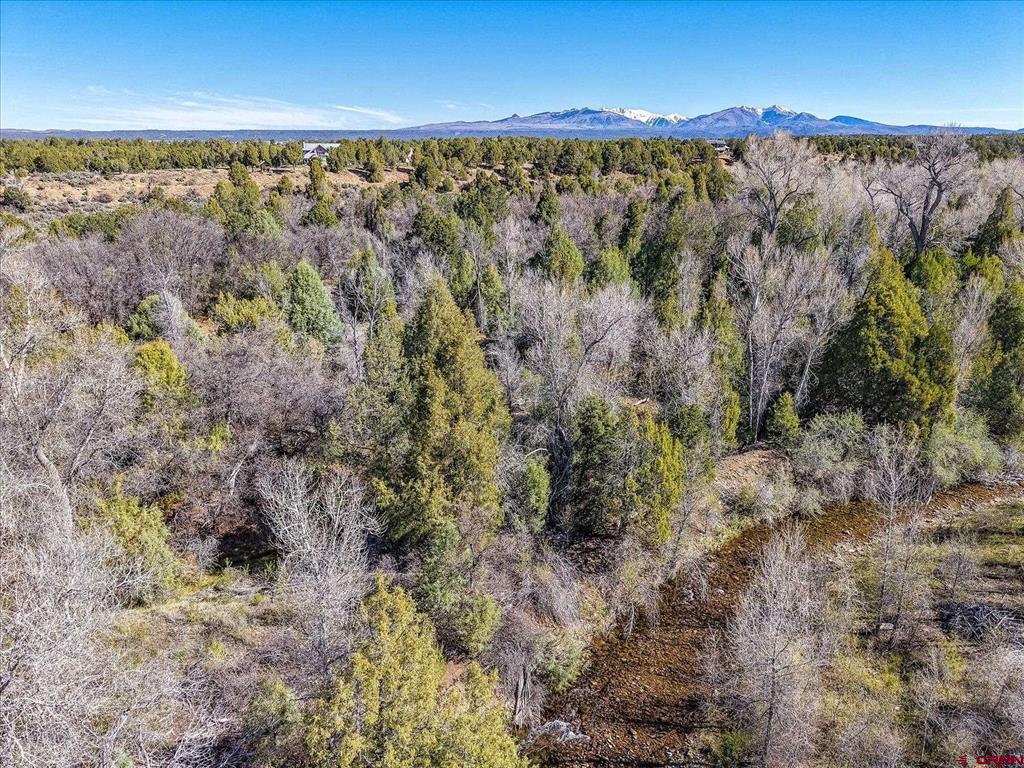 1987 County Road 122 Hesperus CO 81326