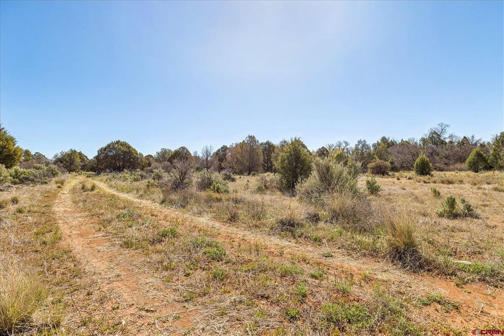 1987 County Road 122 Hesperus CO 81326