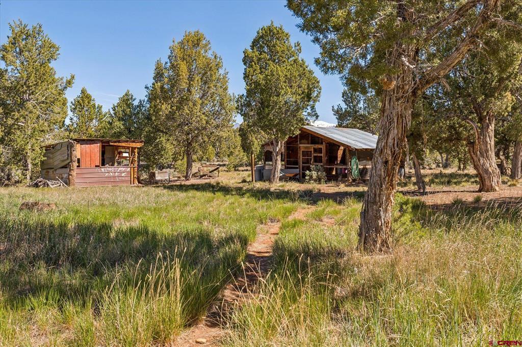 1987 County Road 122 Hesperus CO 81326