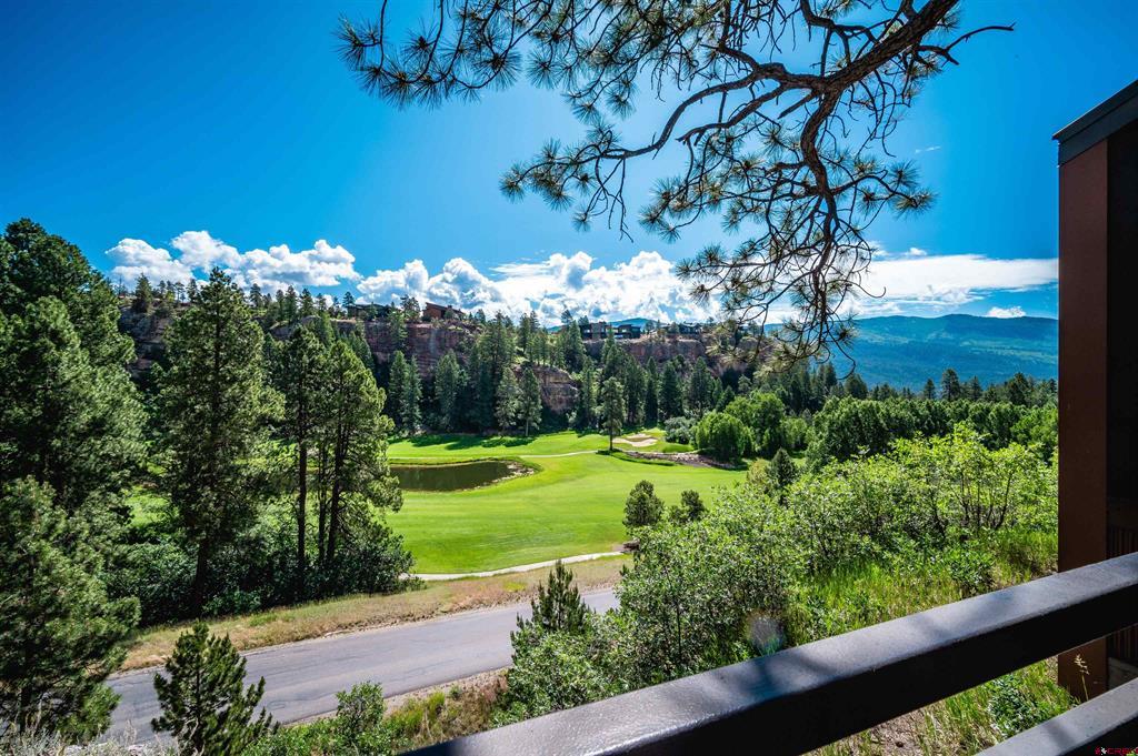 314 N Tamarron Drive Durango CO 81301