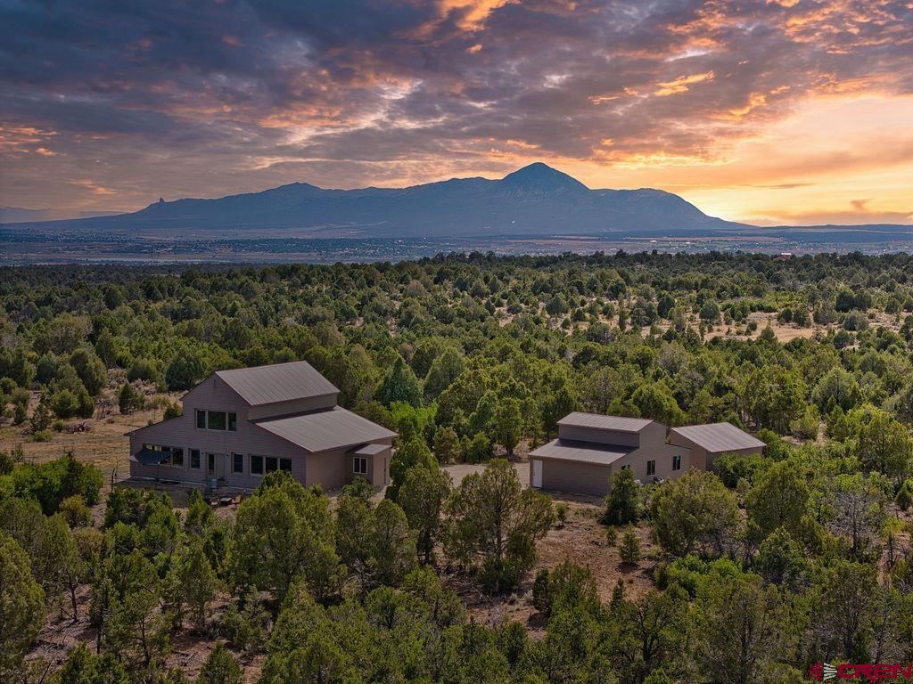 14466 Road 32.1 Mancos CO 81328