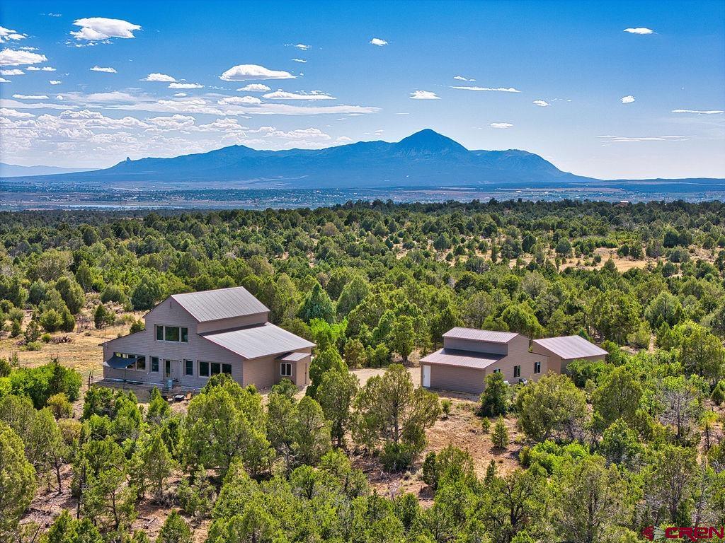14466 Road 32.1 Mancos CO 81328