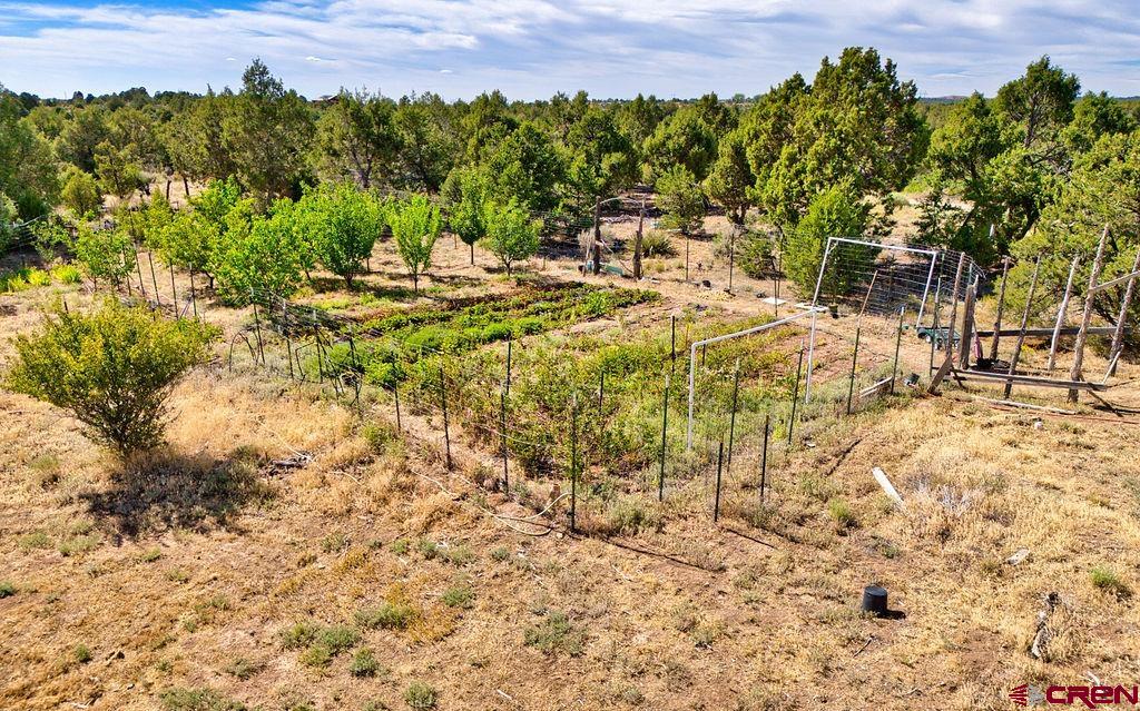 14466 Road 32.1 Mancos CO 81328