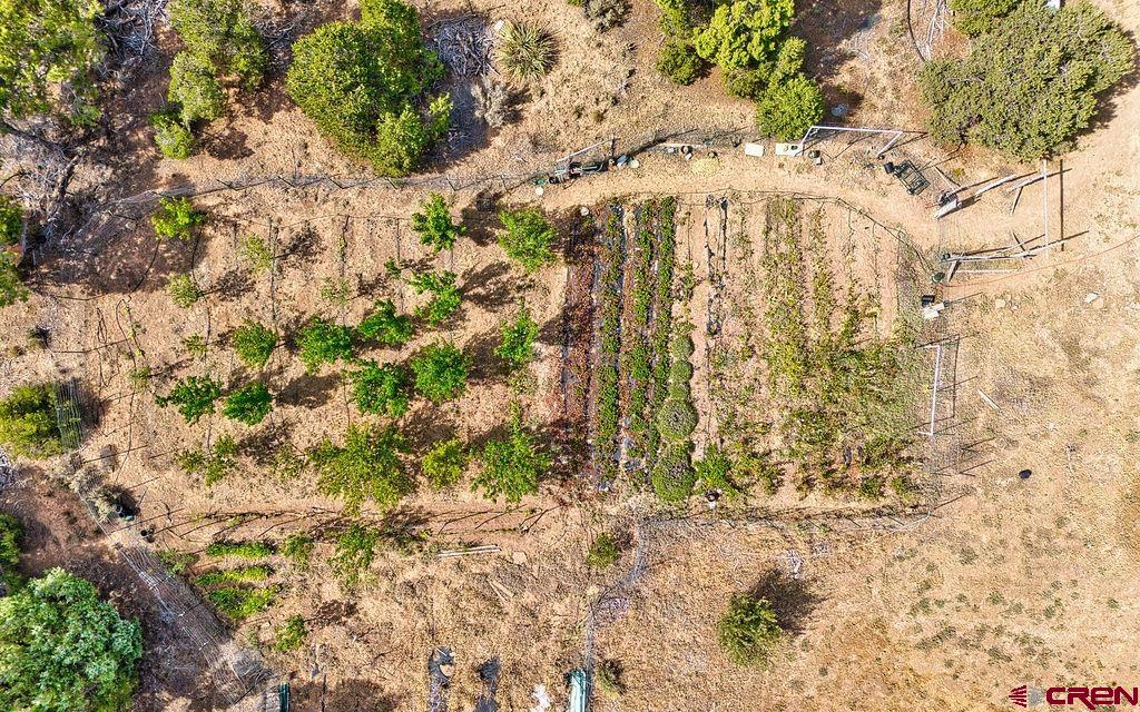 14466 Road 32.1 Mancos CO 81328