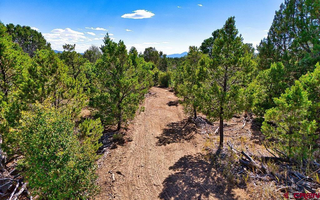 14466 Road 32.1 Mancos CO 81328