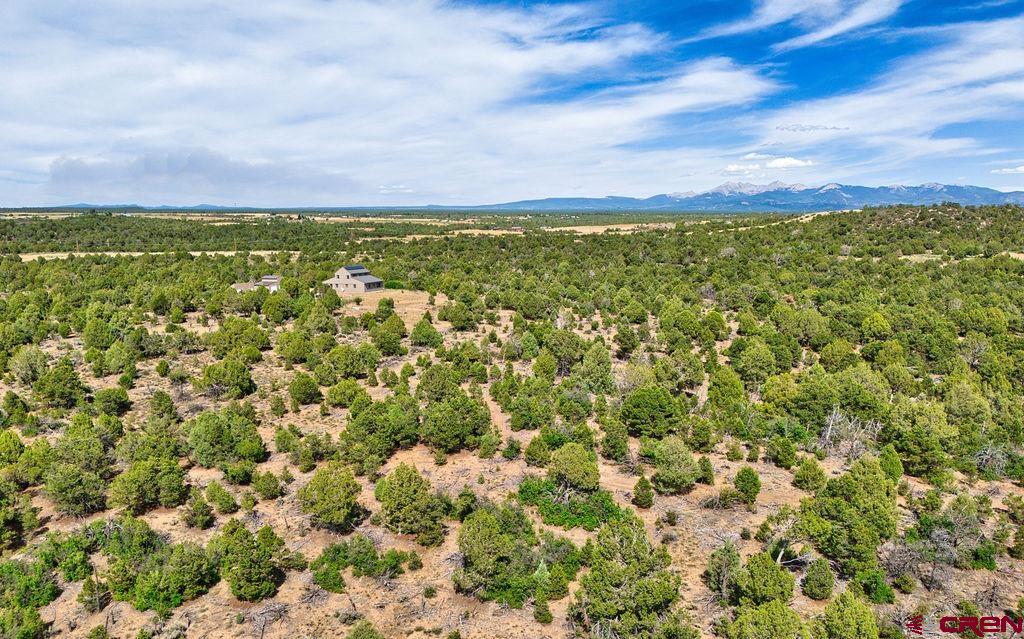 14466 Road 32.1 Mancos CO 81328