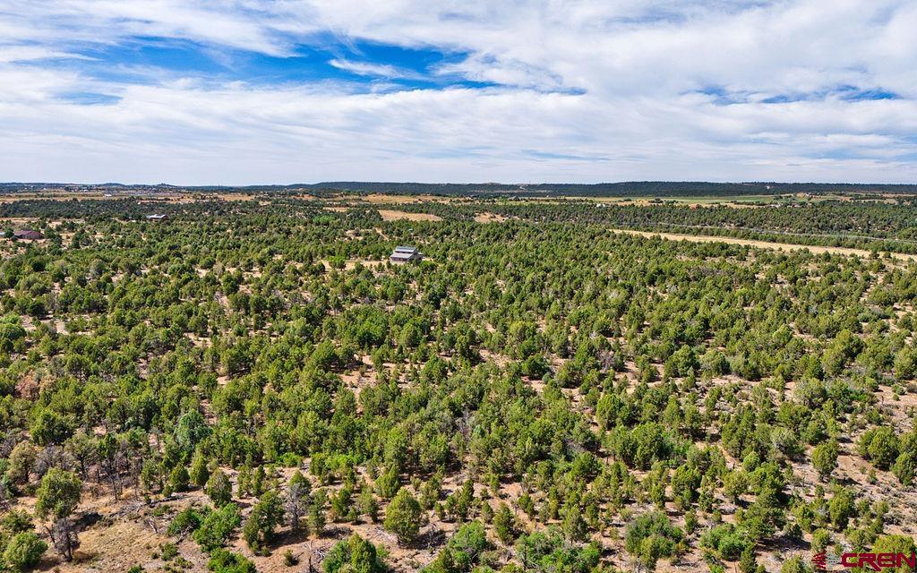 14466 Road 32.1 Mancos CO 81328