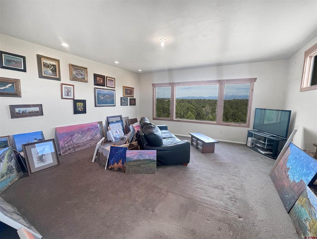 14466 Road 32.1 Mancos CO 81328