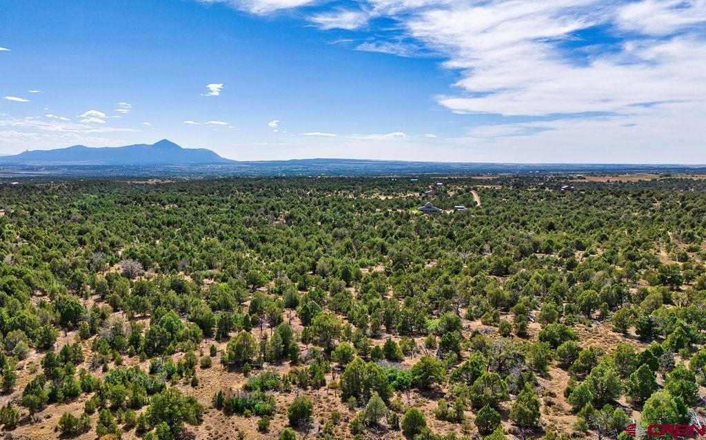 14466 Road 32.1 Mancos CO 81328