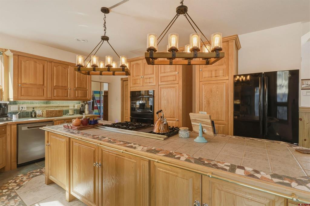 465 Skyline Drive South Fork CO 81154