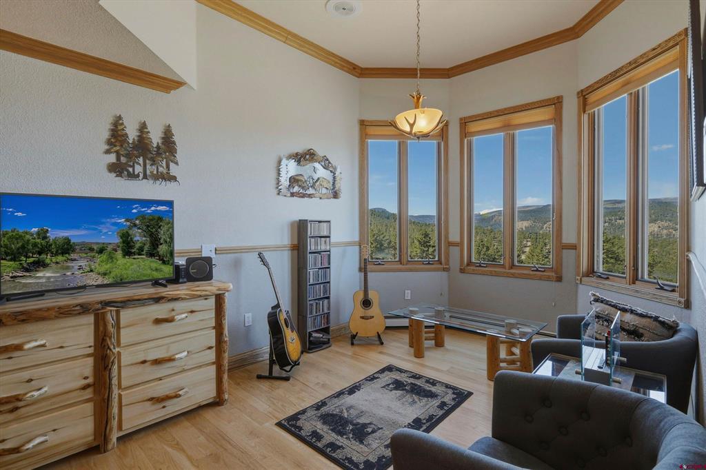 465 Skyline Drive South Fork CO 81154