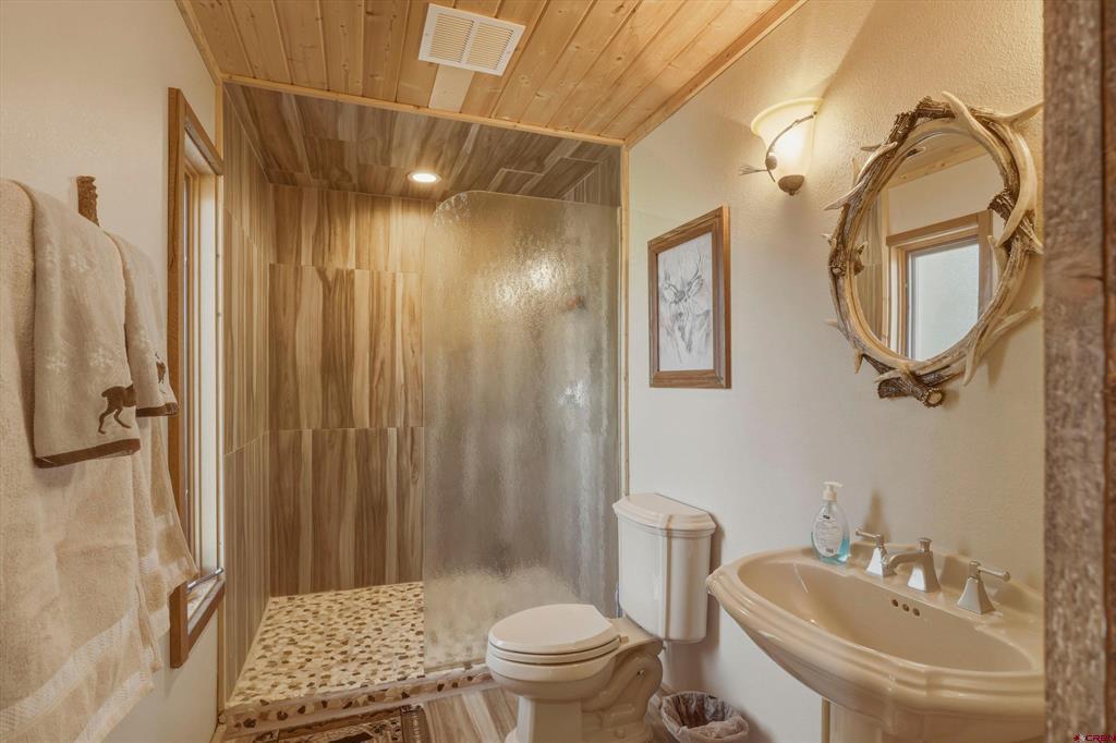 465 Skyline Drive South Fork CO 81154