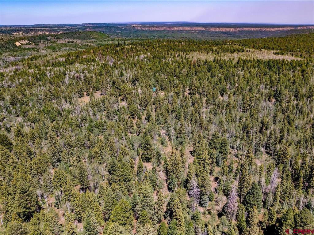 15283 Spring Creek Trail Montrose CO 81403