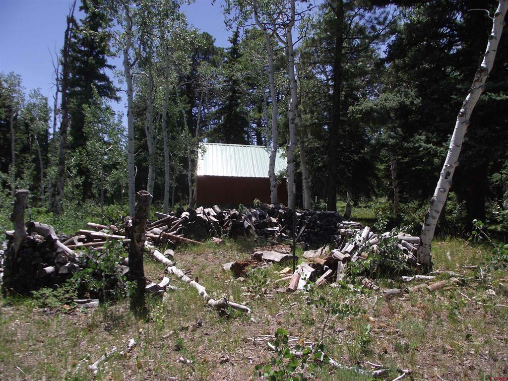 15283 Spring Creek Trail Montrose CO 81403