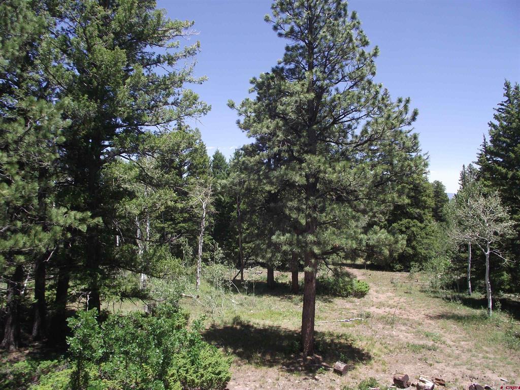 15283 Spring Creek Trail Montrose CO 81403