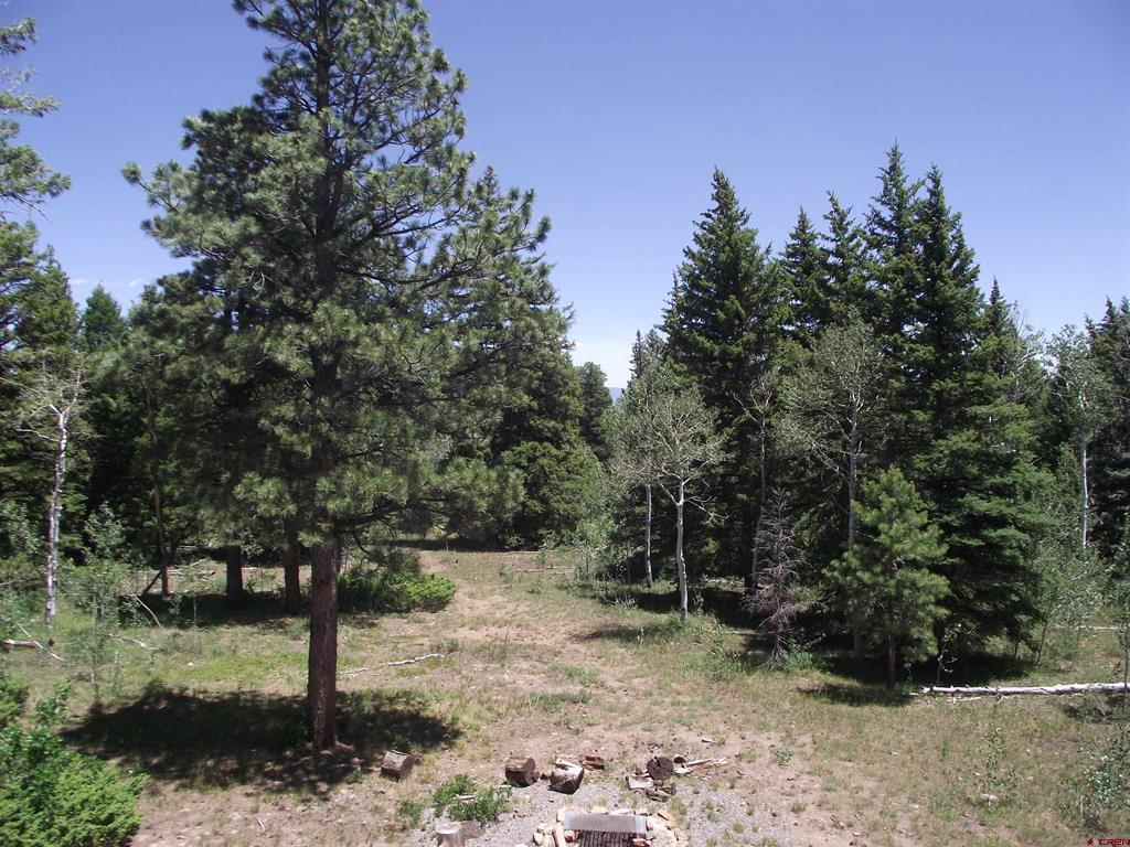 15283 Spring Creek Trail Montrose CO 81403