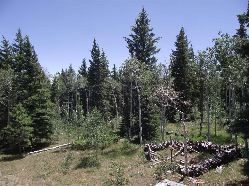 15283 Spring Creek Trail Montrose CO 81403
