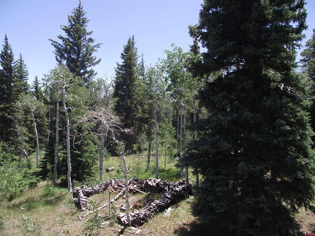 15283 Spring Creek Trail Montrose CO 81403