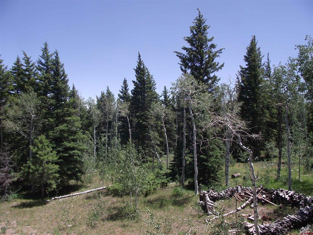 15283 Spring Creek Trail Montrose CO 81403