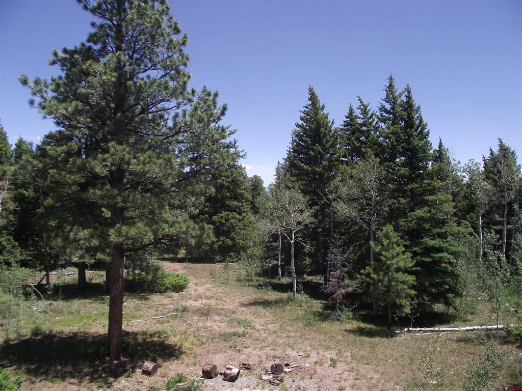 15283 Spring Creek Trail Montrose CO 81403