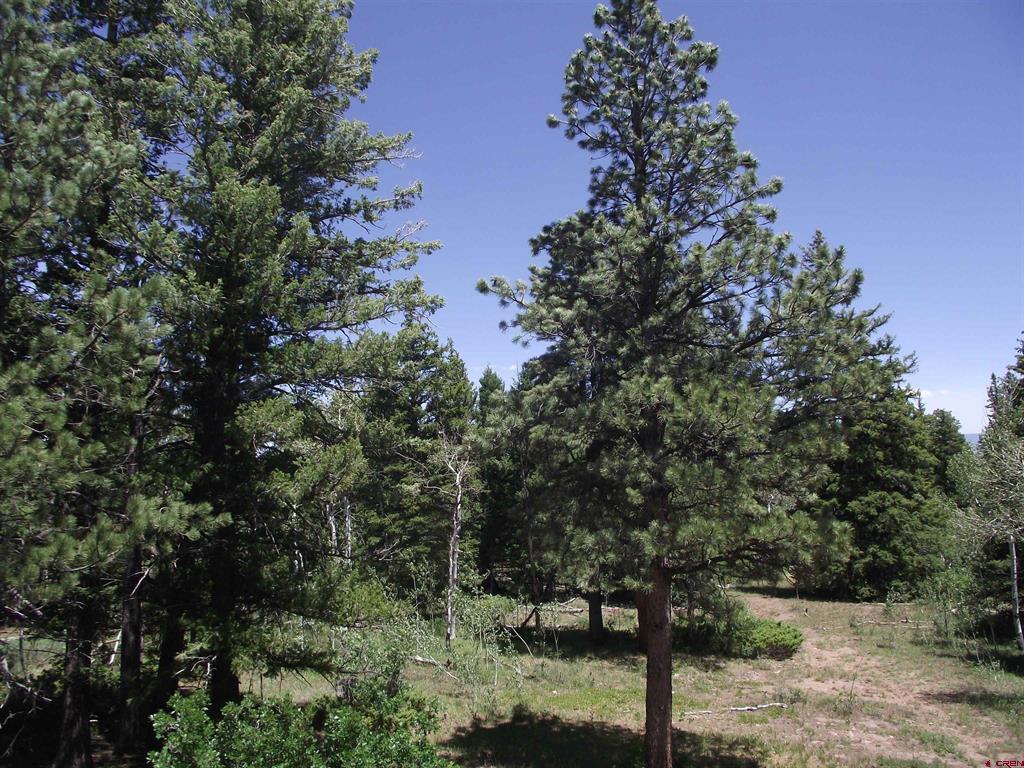 15283 Spring Creek Trail Montrose CO 81403