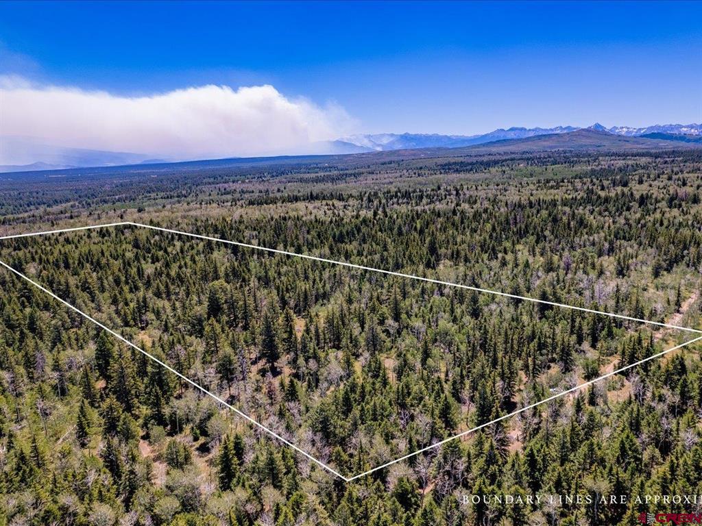15283 Spring Creek Trail Montrose CO 81403