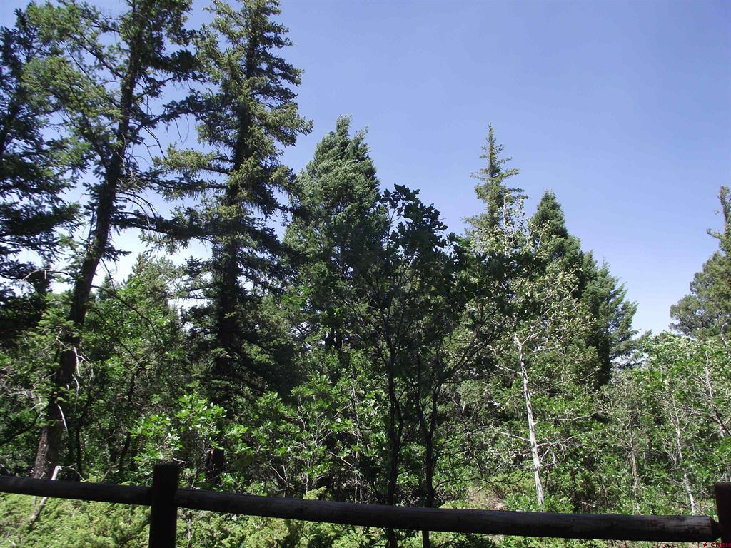 15283 Spring Creek Trail Montrose CO 81403