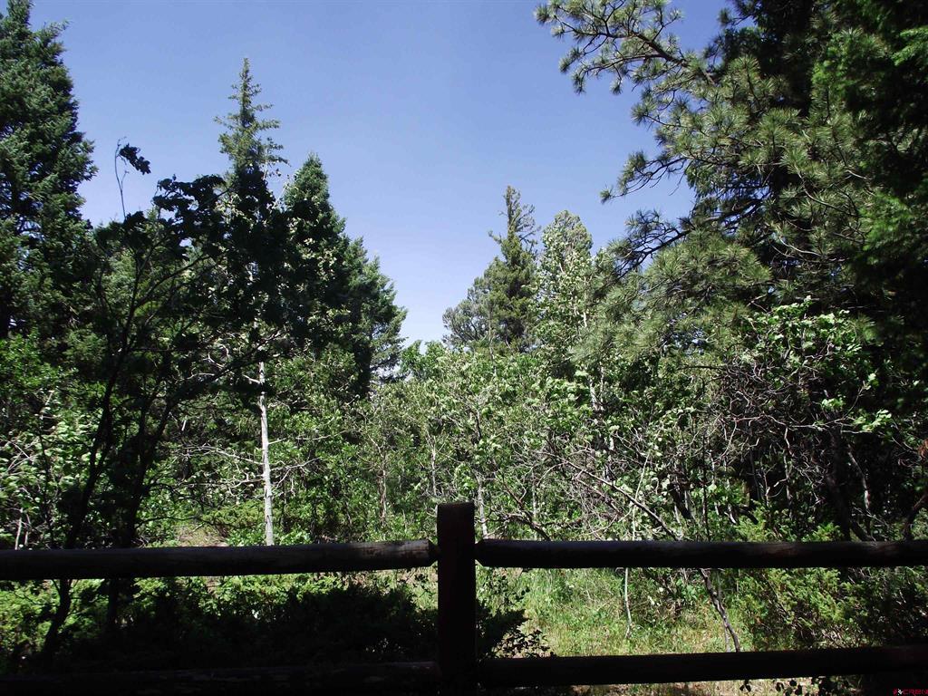 15283 Spring Creek Trail Montrose CO 81403