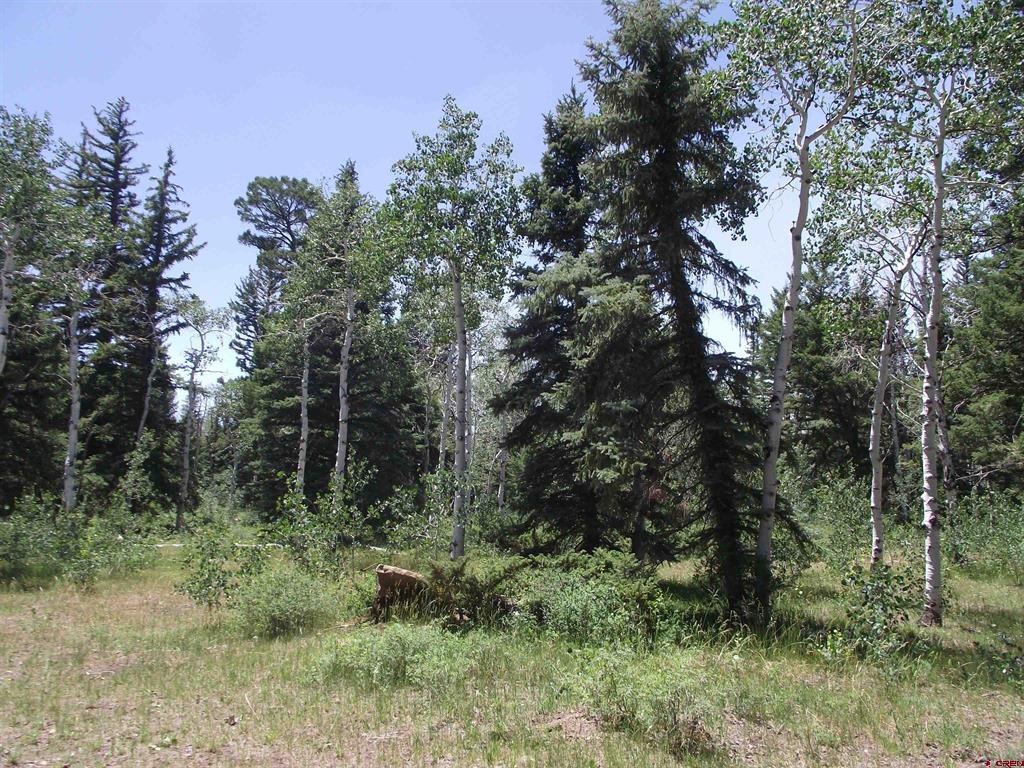 15283 Spring Creek Trail Montrose CO 81403