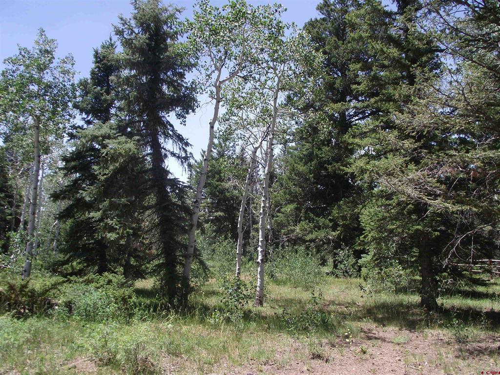 15283 Spring Creek Trail Montrose CO 81403