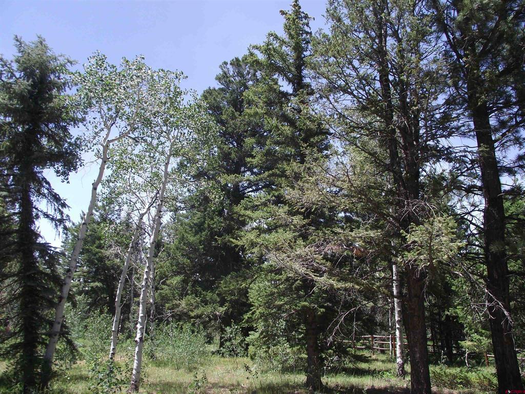 15283 Spring Creek Trail Montrose CO 81403