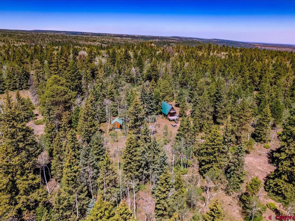 15283 Spring Creek Trail Montrose CO 81403